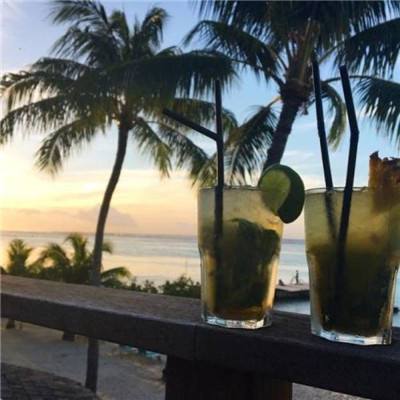 BOB·体育APP下载